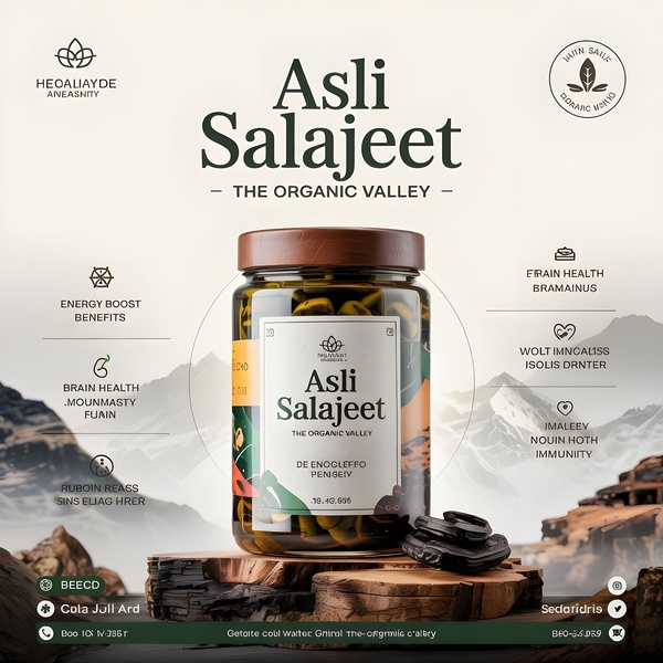 A high-end product showcase for Salajeet resin, utilizing a mountain landscape background to emphasize the organic origin and premium nature of the supplement.